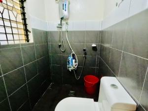 lion dive guest house