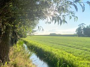 Luxe vrijstaand gastenverblijf - landelijk gelegen