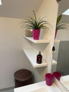 Appartements Appartement T3 individuel avec acces piscine et jardin prives : photos des chambres