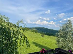 Cabana Talea Residence Prahova