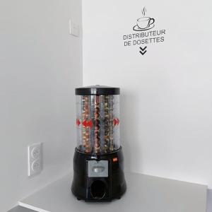Appartements L-Escale Chatillonnaise - Le Voyageur : photos des chambres