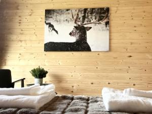 Kowalowa Chata Zawoja