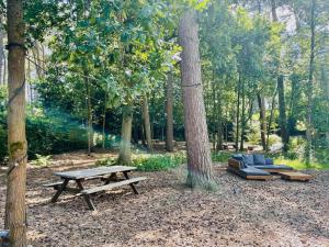 AWolf in a healthy NEW home