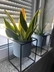 Moderne großräumige Wohnung - Pilsting