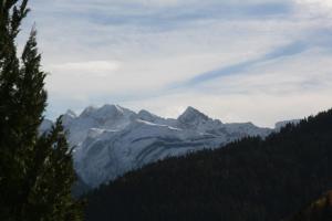 Chalets Chalet l-Alisier - Modern chalet, beautiful mountain view, Morzine-Les Gets : photos des chambres