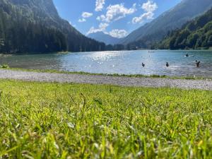 Chalets Chalet l-Alisier - Modern chalet, beautiful mountain view, Morzine-Les Gets : photos des chambres