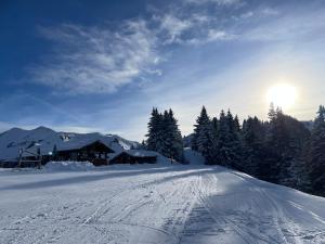 Chalets Chalet l-Alisier - Modern chalet, beautiful mountain view, Morzine-Les Gets : photos des chambres