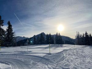 Chalets Chalet l-Alisier - Modern chalet, beautiful mountain view, Morzine-Les Gets : photos des chambres