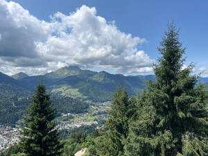 Chalets Chalet l-Alisier - Modern chalet, beautiful mountain view, Morzine-Les Gets : photos des chambres