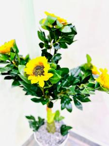 Amrit Residency homestay- 5 mins from Prem Mandir and Iskon temple