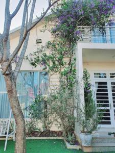 Meos house