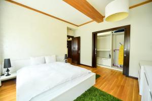 Luxury Apartment
