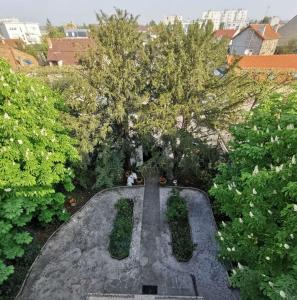 Appartements Jardin Briand : photos des chambres