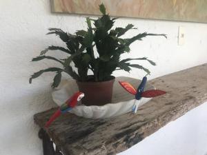 International Juror unforgettable