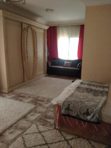 شقه مفروشه شيخ زايد