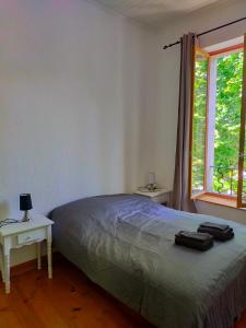 Appartements Au coeur de Chalabre, bastide medievale, pres du lac de Montbel : photos des chambres