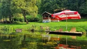 Holiday Home Radočaj - Cetingrad