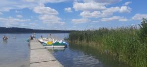 Domki Brzózki Kosewo