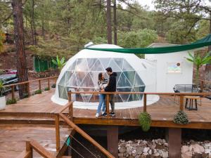 Tiny Pines A-Frame Cabin, Domes and Luxury Glamping Site