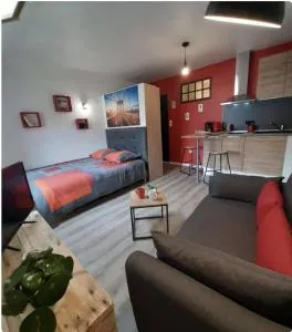 La cour de Jeanne studio centre ville - Jussac