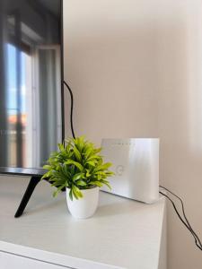 Casa Milla Alghero img8