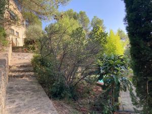 Appartements Le gite sous les pins : photos des chambres