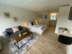 Orlando Adventure Hub, Near Disney, 1BD-1BA - Vineland