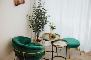 Five Olive Dream Trip