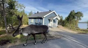 SINITALO - 伊纳利