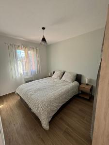 Appartements La Villa d Isa : photos des chambres