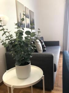 Minimalist Newly Renovated 1Bd near the center