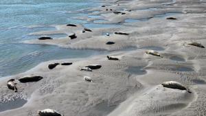 Maisons de vacances L'art du bonheur proche de la Baie de Somme : photos des chambres