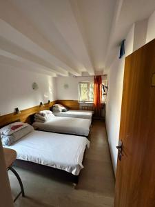 Triple Room room in Hostel Tolek