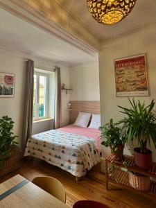 Appartements Loft calme, lumineux 58 m2 en ville parking prive : photos des chambres