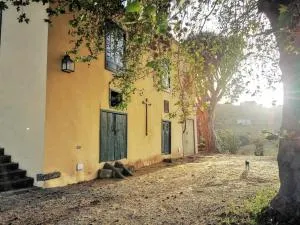 Casa entre viñedos - La Vera