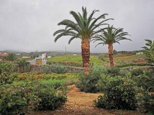 Casa entre viñedos