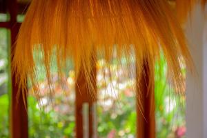 Garden villa on top of the Hill