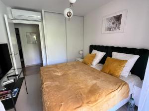 Elegant apartment close to Croisette and Palais de Festival with garage