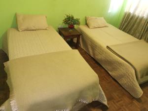 3-Bedroom Oasis with Pool