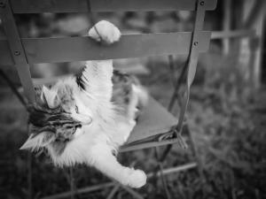 Logement avec billard, home cinéma et terrasse privatisés