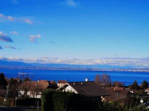 Logement avec billard, home cinéma et terrasse privatisés