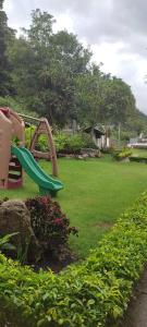 Boquete Orange Country 2