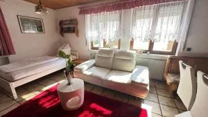 Die Rustikale mit Blick auf die Naab - Kallmünz