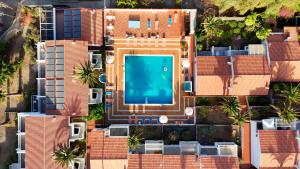 Studio Las Americas Monkey Beach