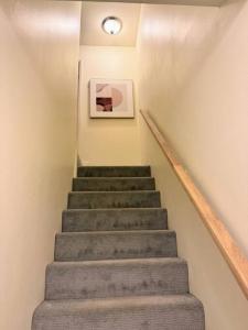 Cedar Heights w sauna n bonfire