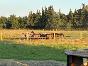 Maisons de vacances La Bastide des Launes pres du Festival de Piano : photos des chambres
