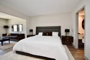 Relaxing Top Level Studio - Edgar