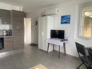 Appartements Splendide Studio Miramar vue mer avec terrasse : photos des chambres