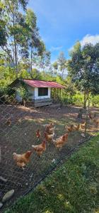 HASSINGER RANCH CabaƱas