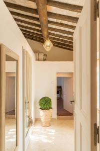 Maisons de vacances Les Calades : photos des chambres
